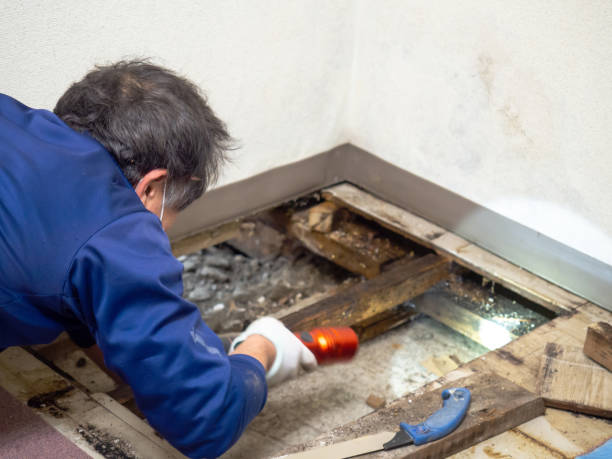 Best Mold Testing  in Stockton, UT