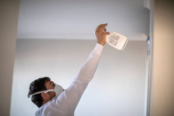 Attic Mold Removal in Stockton, UT