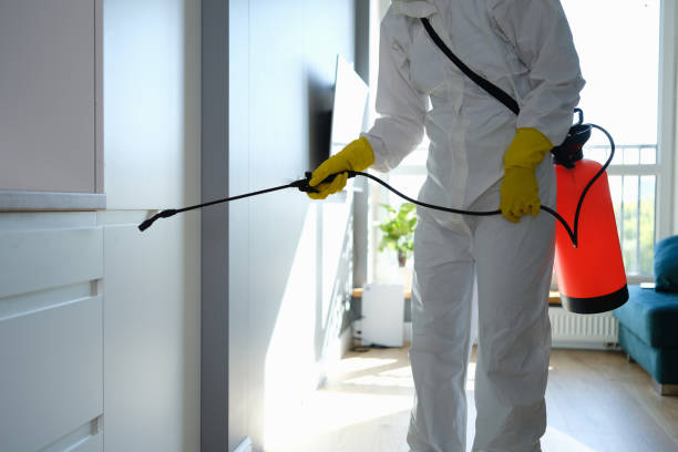 Best Certified Mold Removal  in Stockton, UT