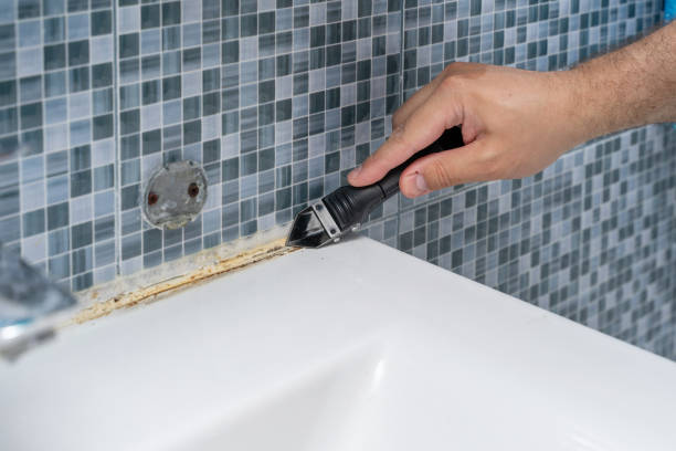 Best Commercial Mold Removal  in Stockton, UT